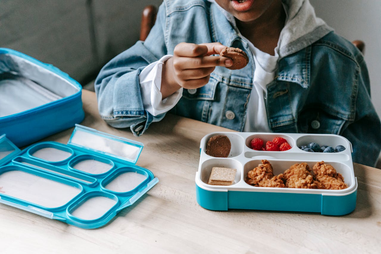 Toddler Lunch Ideas