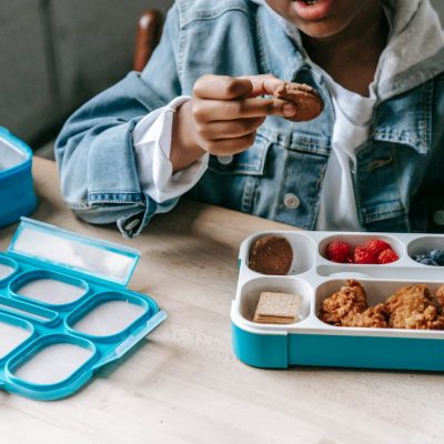 Toddler Lunch Ideas